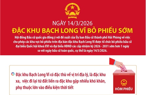 Ngày 14/3/2026, đặc khu Bạch Long Vĩ bỏ phiếu sớm