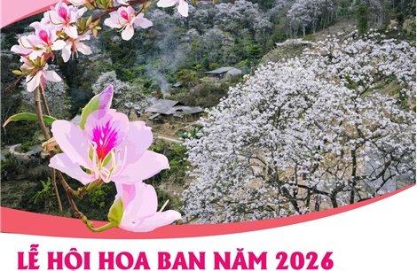 Lễ hội Hoa Ban năm 2026: Điểm hẹn mùa Xuân hấp dẫn