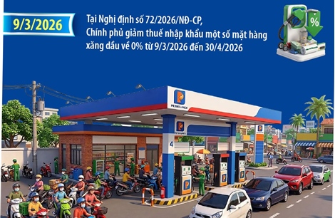 Chính phủ triển khai các giải pháp cấp bách bảo đảm an ninh năng lượng 