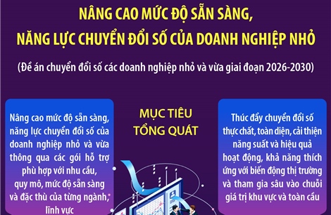 Nâng cao mức độ sẵn sàng, năng lực chuyển đổi số của doanh nghiệp nhỏ