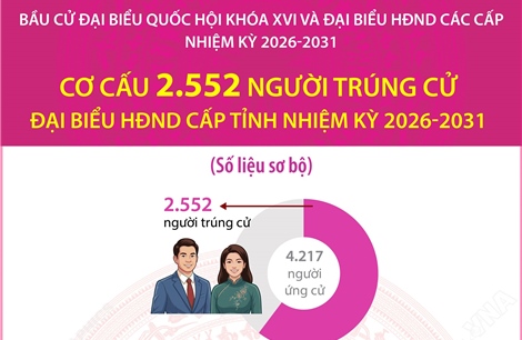 Cơ cấu 2.552 người trúng cử đại biểu HĐND cấp tỉnh nhiệm kỳ 2026-2031