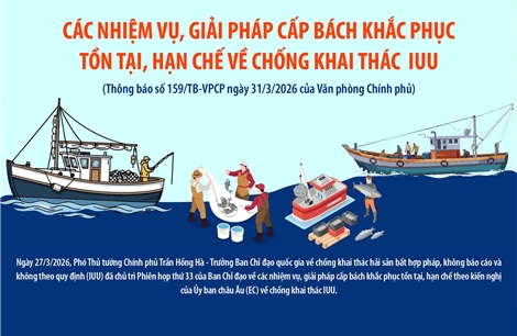 Các nhiệm vụ, giải pháp cấp bách khắc phục tồn tại, hạn chế về chống khai thác IUU