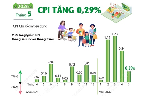 CPI tháng 5/2026 tăng 0,29%