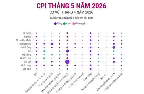CPI tháng 5 năm 2026 tăng 0,29%