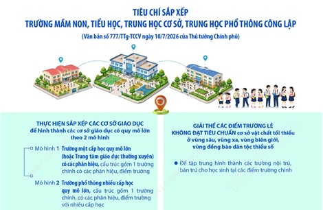 Tiêu chí sắp xếp trường mầm non, tiểu học, trung học cơ sở, trung học phổ thông công lập