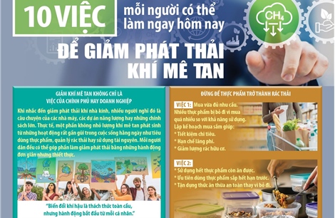 10 việc mỗi người có thể làm ngay hôm nay để giảm phát thải khí mê tan