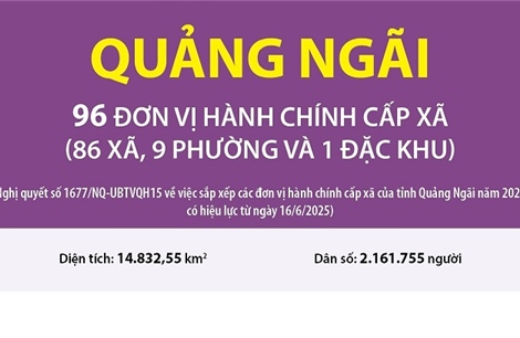 Thông tin chi tiết sắp xếp các đơn vị hành chính cấp xã của tỉnh Quảng Ngãi