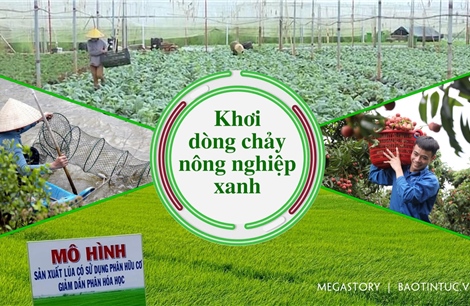 Khơi dòng chảy nông nghiệp xanh