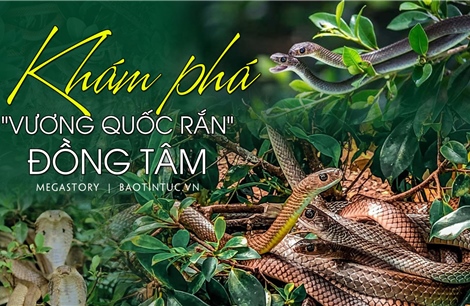 Khám phá &#39;vương quốc rắn&#39; Đồng Tâm