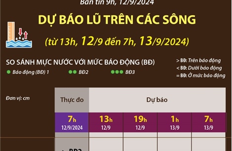 Dự báo lũ trên các sông đến 7 giờ ngày 13/9/2024