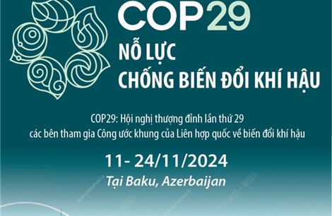 COP29 nỗ lực chống biến đổi khí hậu