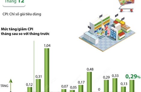 CPI tháng 12/2024 tăng 0,29%