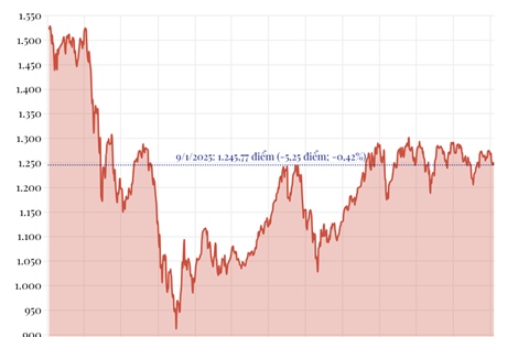 Phiên 9/1/2025: VN-Index giảm hơn 5 điểm