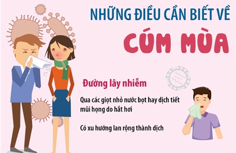 Những điều cần biết về cúm mùa