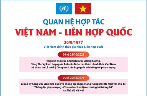 Quan hệ hợp tác Việt Nam - Liên hợp quốc