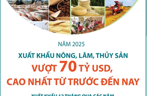 Năm 2025: Xuất khẩu nông, lâm, thủy sản vượt 70 tỷ USD, cao nhất từ trước đến nay
