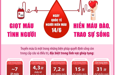 Ngày Quốc tế Người hiến máu 14/6: Giọt máu tình người - Hiến máu đào, trao sự sống