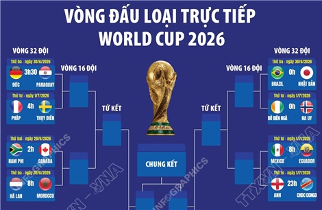 Phân nhánh vòng đấu loại trực tiếp World Cup 2026