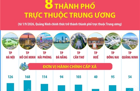 Thông tin về 8 thành phố trực thuộc Trung ương