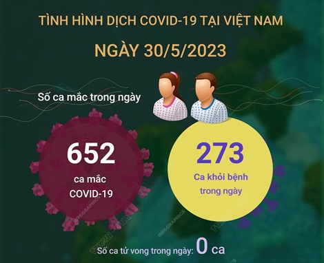 Ngày 30/5/2023: Cả nước ghi nhận 652 ca COVID-19 mới, 273 F0 khỏi bệnh