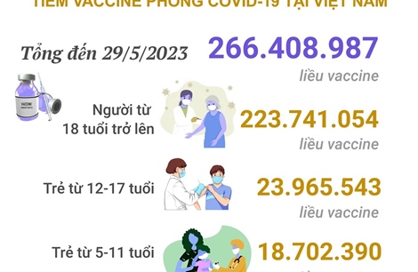 Tình hình tiêm vaccine phòng COVID-19 tại Việt Nam tính đến hết ngày 29/5/2023