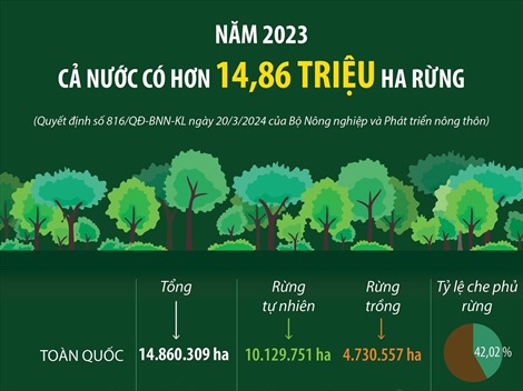 Năm 2023: Cả nước có hơn 14,86 triệu ha rừng