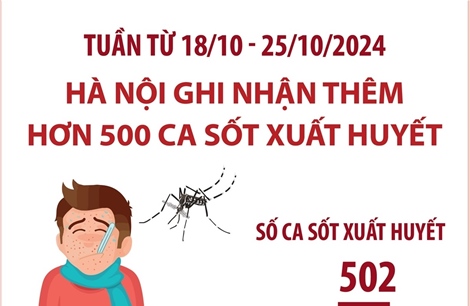 Tuần từ 18/10 - 25/10/2024: Hà Nội ghi nhận thêm hơn 500 ca sốt xuất huyết