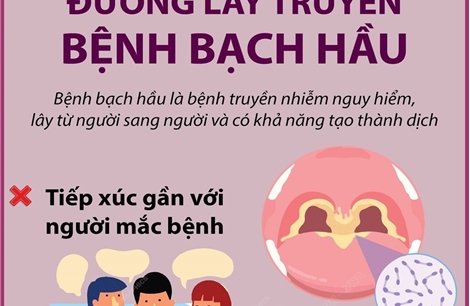 Đường lây truyền bệnh bạch hầu