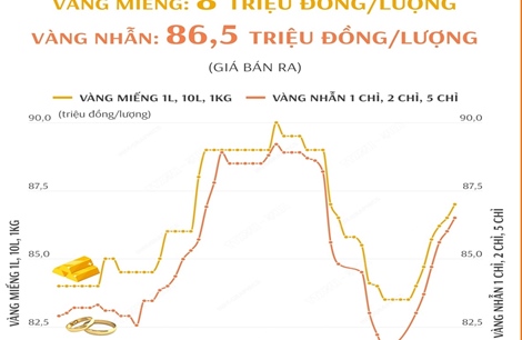 Giá vàng SJC sáng 23/11/2024