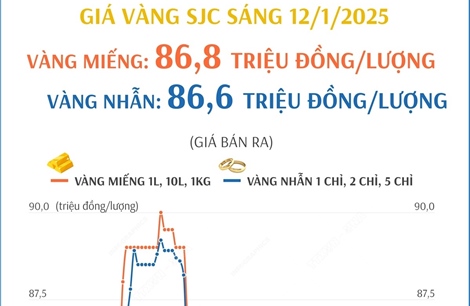 Vàng miếng và vàng nhẫn sáng 12/1 sát mốc 87 triệu đồng/lượng