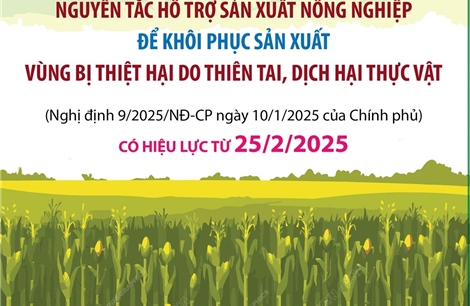 Nguyên tắc hỗ trợ sản xuất nông nghiệp để khôi phục sản xuất vùng bị thiệt hại do thiên tai, dịch hại thực vật