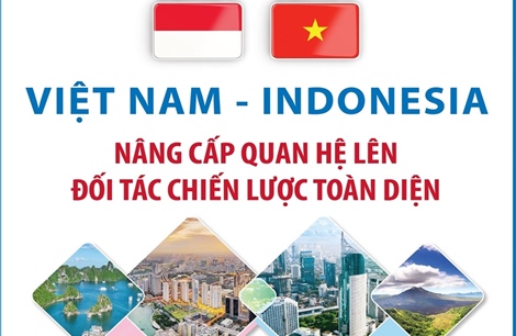 Việt Nam và Indonesia nâng cấp quan hệ lên Đối tác chiến lược toàn diện