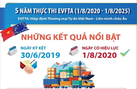 5 năm thực thi EVFTA (1/8/2020 - 1/8/2025): Những kết quả nổi bật