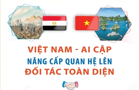 Việt Nam - Ai Cập nâng cấp quan hệ lên Đối tác Toàn diện