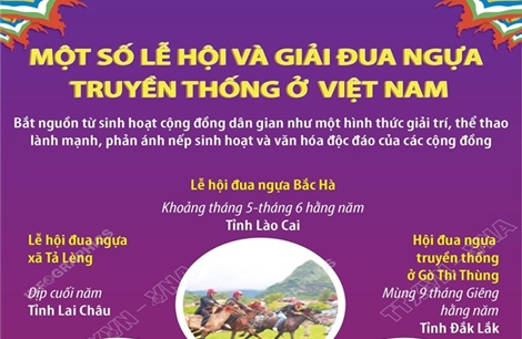 Một số lễ hội và giải đua ngựa truyền thống ở Việt Nam