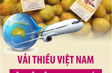 Vải thiều Việt Nam lên kệ siêu thị tại Pháp