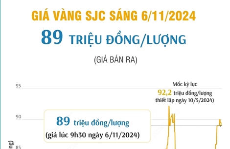 Vàng SJC sáng 6/11/2024 có giá 89 triệu đồng/lượng