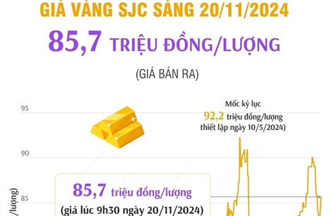 Vàng SJC sáng 20/11/2024 có giá 85,7 triệu đồng/lượng