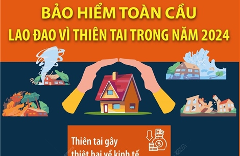 Bảo hiểm toàn cầu lao đao vì thiên tai trong năm 2024