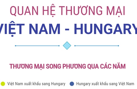 Thương mại song phương Việt Nam - Hungary