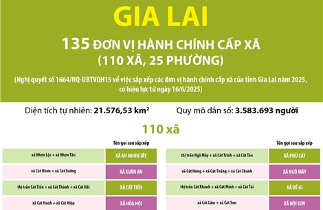 Thông tin chi tiết sắp xếp các đơn vị hành chính cấp xã của tỉnh Gia Lai