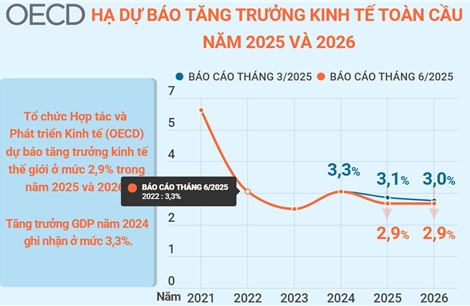 OECD hạ dự báo tăng trưởng kinh tế toàn cầu năm 2025 và 2026
