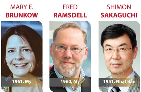 Giải Nobel Y sinh 2025 vinh danh 3 nhà khoa học Mary E. Brunkow, Fred Ramsdell và Shimon Sakaguchi