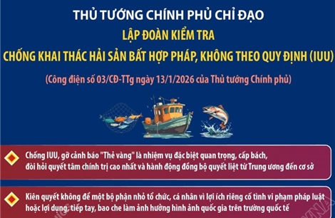 Thủ tướng Chính phủ chỉ đạo lập đoàn kiểm tra chống khai thác IUU