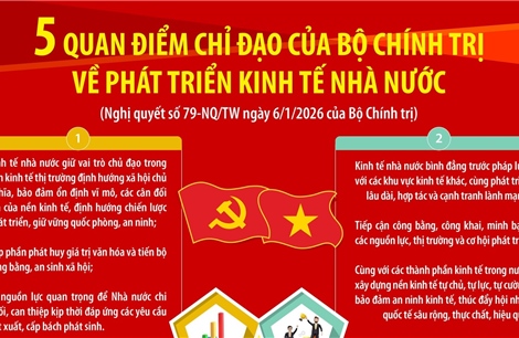Năm quan điểm chỉ đạo của Bộ Chính trị về phát triển kinh tế nhà nước