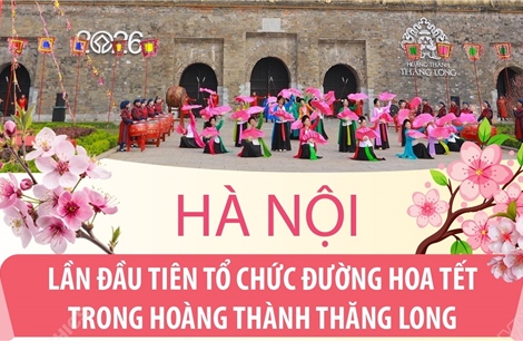 Hà Nội: Lần đầu tiên tổ chức Đường hoa Tết trong Hoàng thành Thăng Long