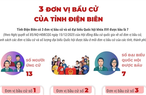 3 đơn vị bầu cử của tỉnh Điện Biên