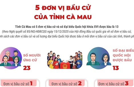 5 đơn vị bầu cử của tỉnh Cà Mau
