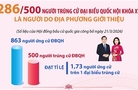286/500 người trúng cử Đại biểu Quốc hội là người do địa phương giới thiệu