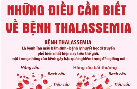Những điều cần biết về bệnh Thalassemia